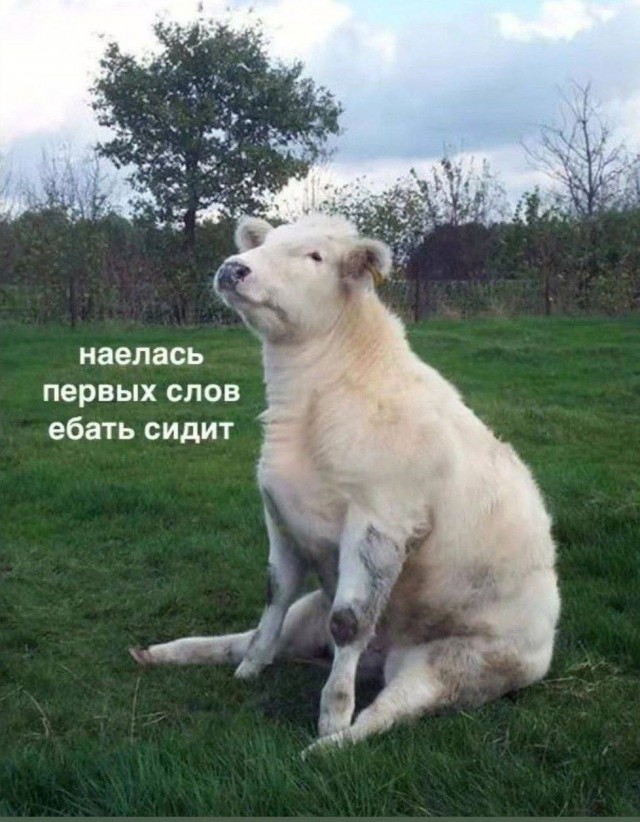 Слив лютых картинок