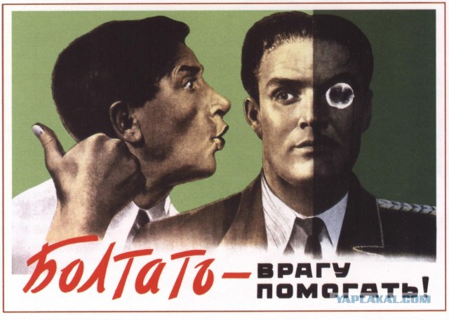 Тополя вернулись домой