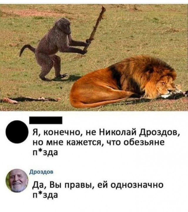 Всего понемногу. От 07.04.2024