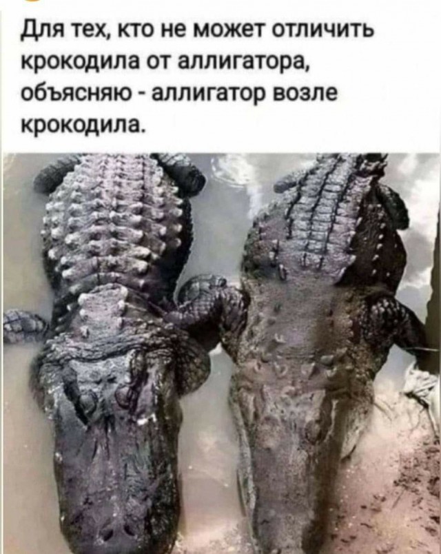 Немного пошлых картинок 16+ 21.08.24