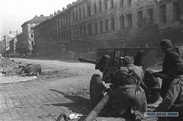Дорогами войны ... (текст + 100 фото)
