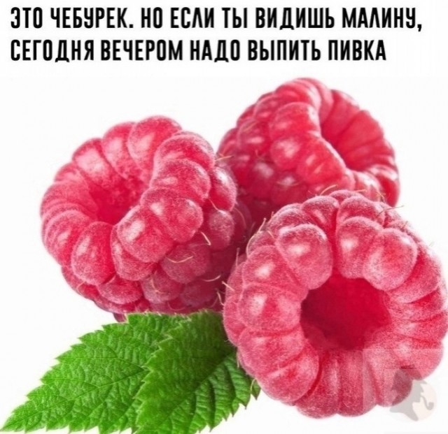 Прикольные и просто красивые картинки 22.11.2024