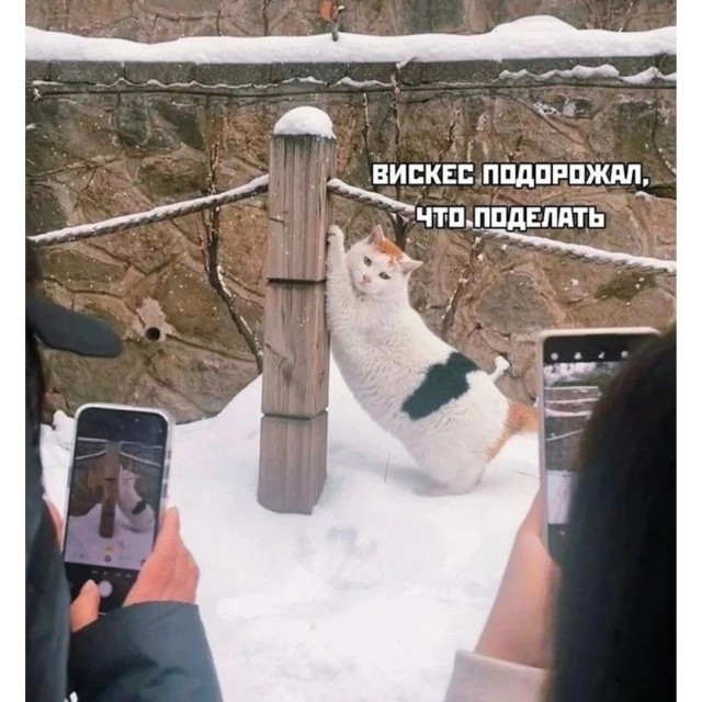 Завалялось тут случайно немного забавных картинок