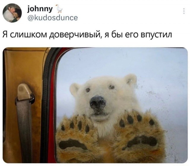 Завалялось тут случайно немного забавных картинок
