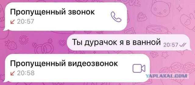 Хорошая попытка, бро