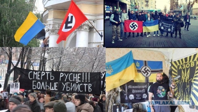 Уж не знаю, какой медведь и в каком лесу нынче издох, но британская Daily Mail впервые за 11 лет решилась написала правду
