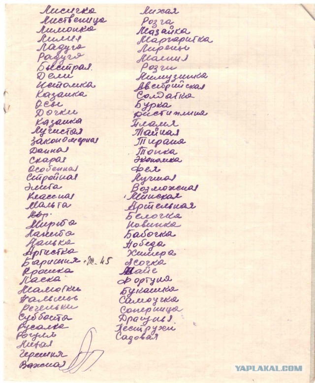 Клички КРС . БССР. 1960-е года