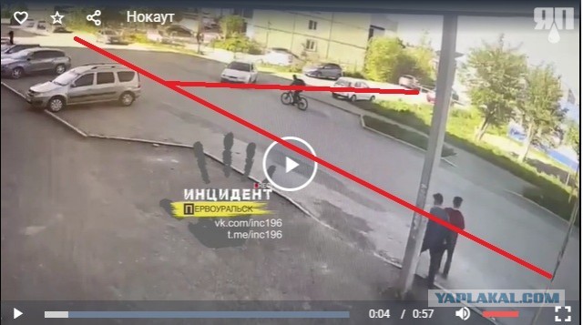 Велосипедист отправил водителя в нокаут