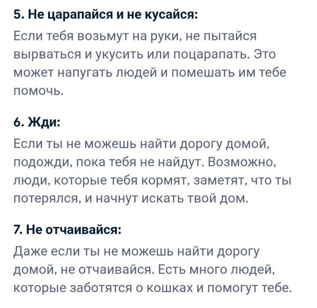 Самый полезный совет от ИИ на сегодня
