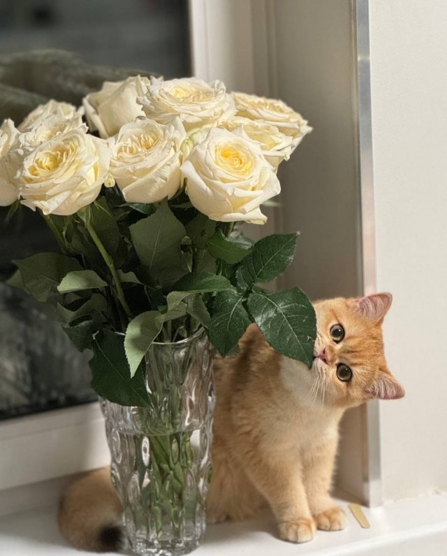 День заботливого мужа празднуется сегодня.