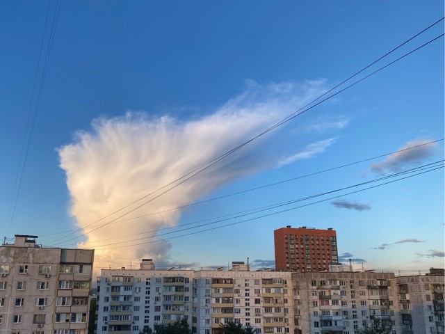 Одной фотографии пост 27.08.2025г.