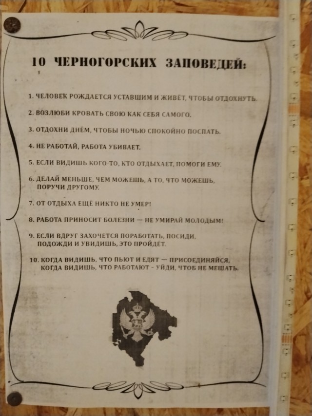 Лучшие поговорки про любимую работу