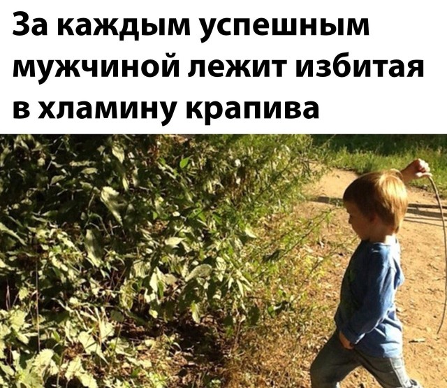 Так себе картинки 24.09.25