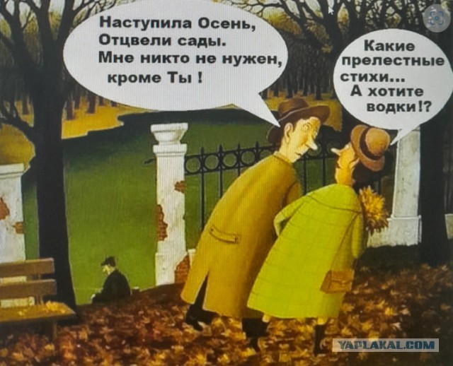 В последнюю осень. Читаем стихи