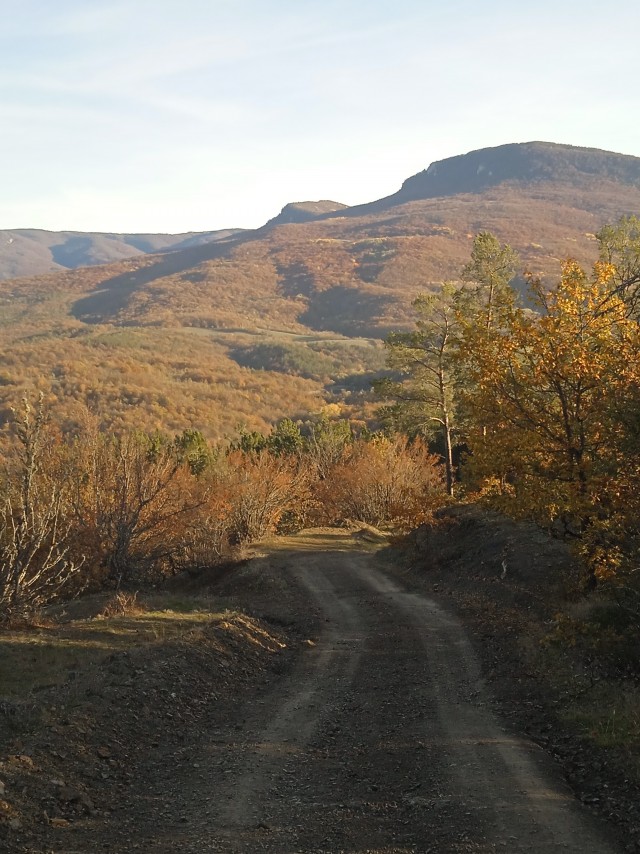 Прогулка по лесу с ножом и блеском в глазах в Крыму