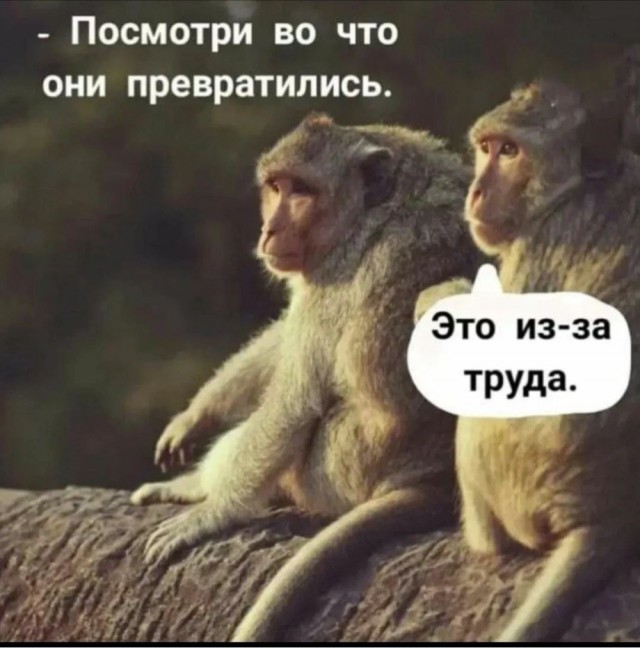 Картинки понедельника