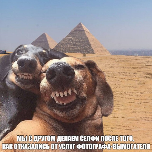 Фотографы-вымогатели активизировались в Египте