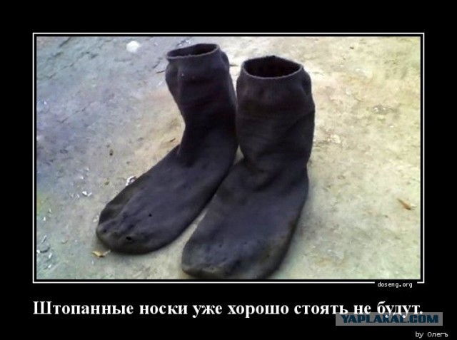 Ёлки новогодние на обозрение выставлять будем?