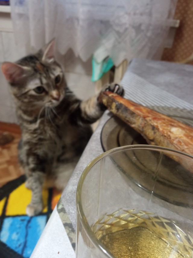 Мои рисунки