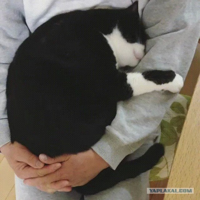 Я и мое желание