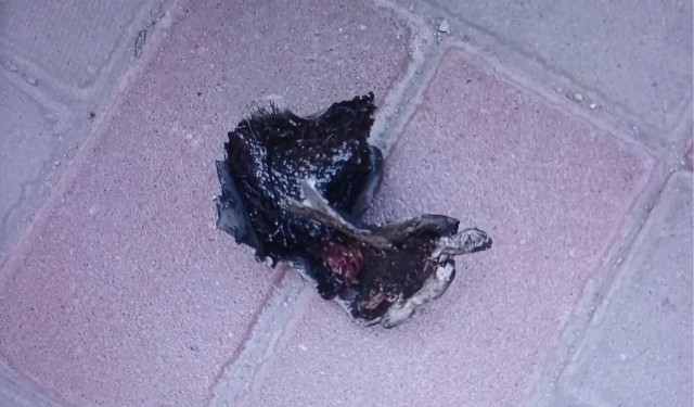 Обломки ракеты упали в Катаре прямо на людей