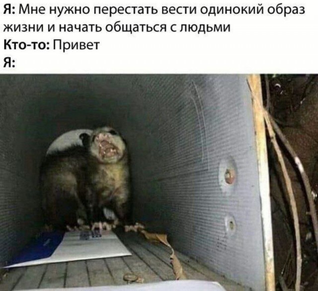 Картинки для деградации 151 (разной степени свежести)