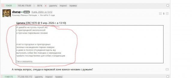 Неизвестный застрелил двух собак-спасателей поискового отряда "ЛизаАлерт" в Псковской области