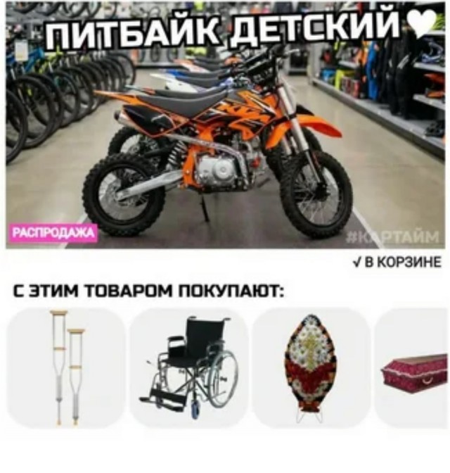 Грачи прилетели