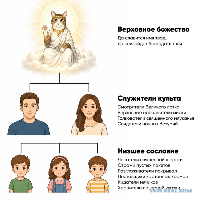 Скажите еще, что у вас не так...