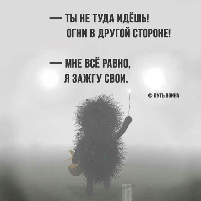 Прикольные и просто красивые картинки 26.06.2026