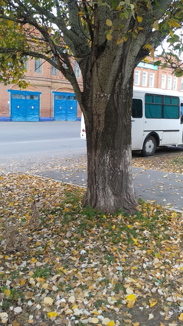 Год назад и сейчас.