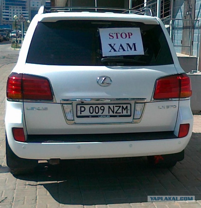 СтопХам 103 - Женщина шум