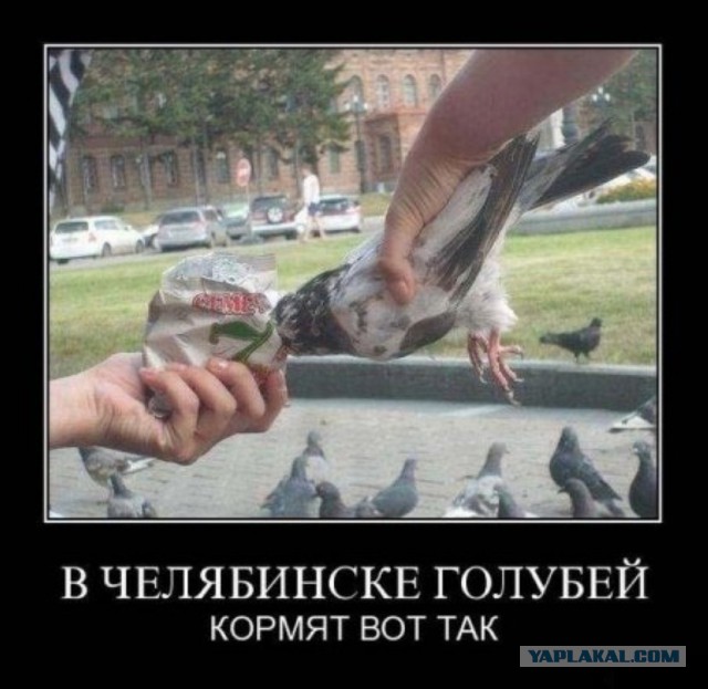 Подборка прикольных фото.