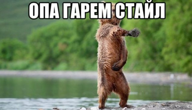 Медведи почти на все случаи жизни