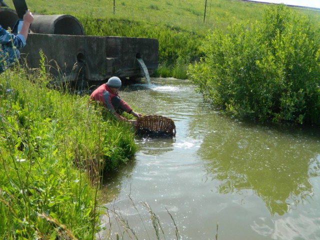 Чувашия. Рыбалка на "платнике" июнь 2014