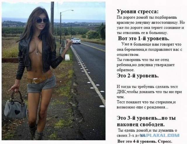 Весёлые картинки