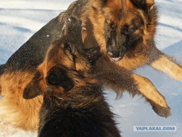 Игры настоящий пацанов