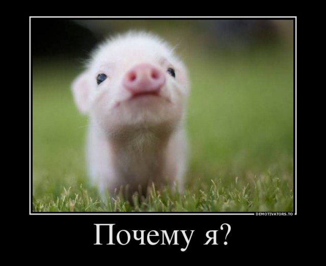 Про добытчиков!