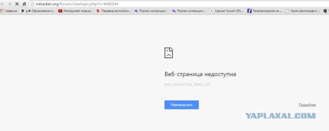 Хакерская группа заблокировала крупнейшие торренты