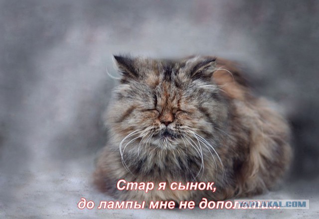 Проучили кидалу