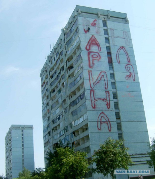 То, что улыбнуло в 2015