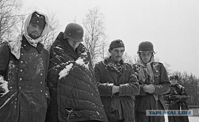 Великая Отечественная война в трактовке советской исторической науки