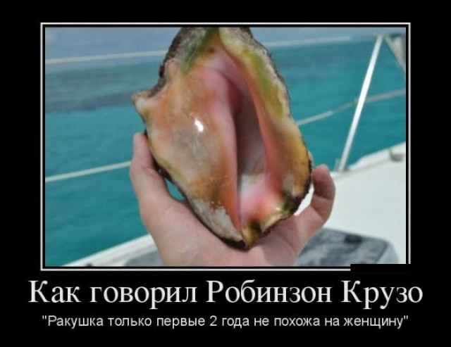 Подборка интересных и веселых картинок