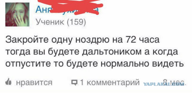 А ведь это жизнь