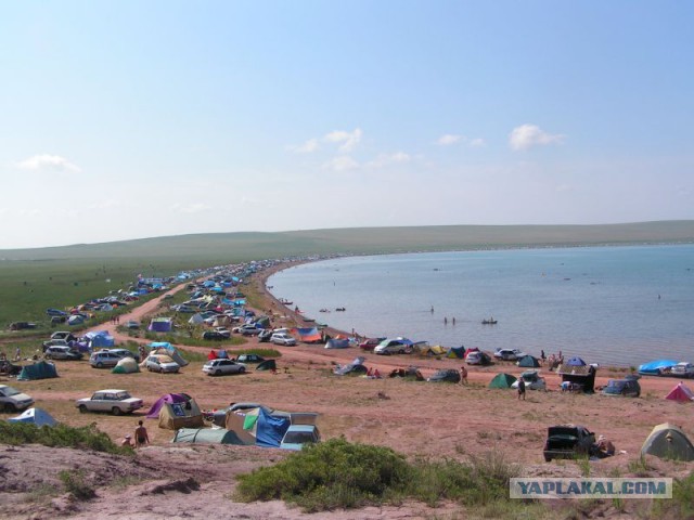 Что делать с дикими туристами в Крыму?