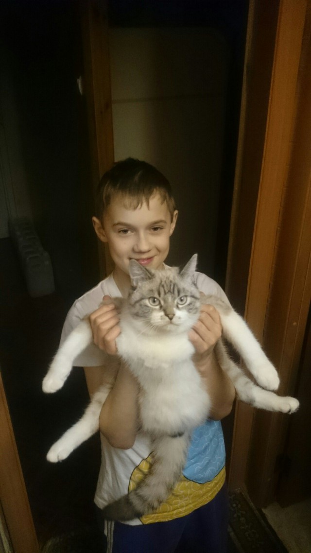 Живность из сети