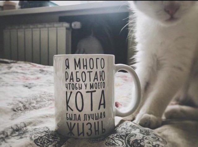 Картинки по-приколу
