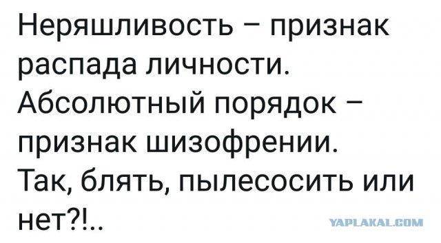 Много картинок в эту пятницу