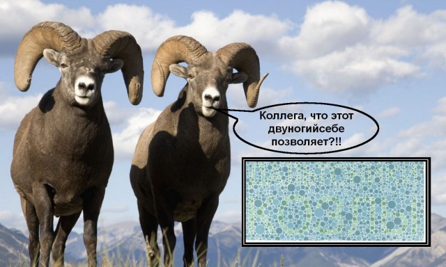 Диагностика