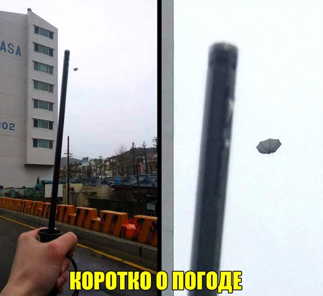 Прикольные картинки абавсём